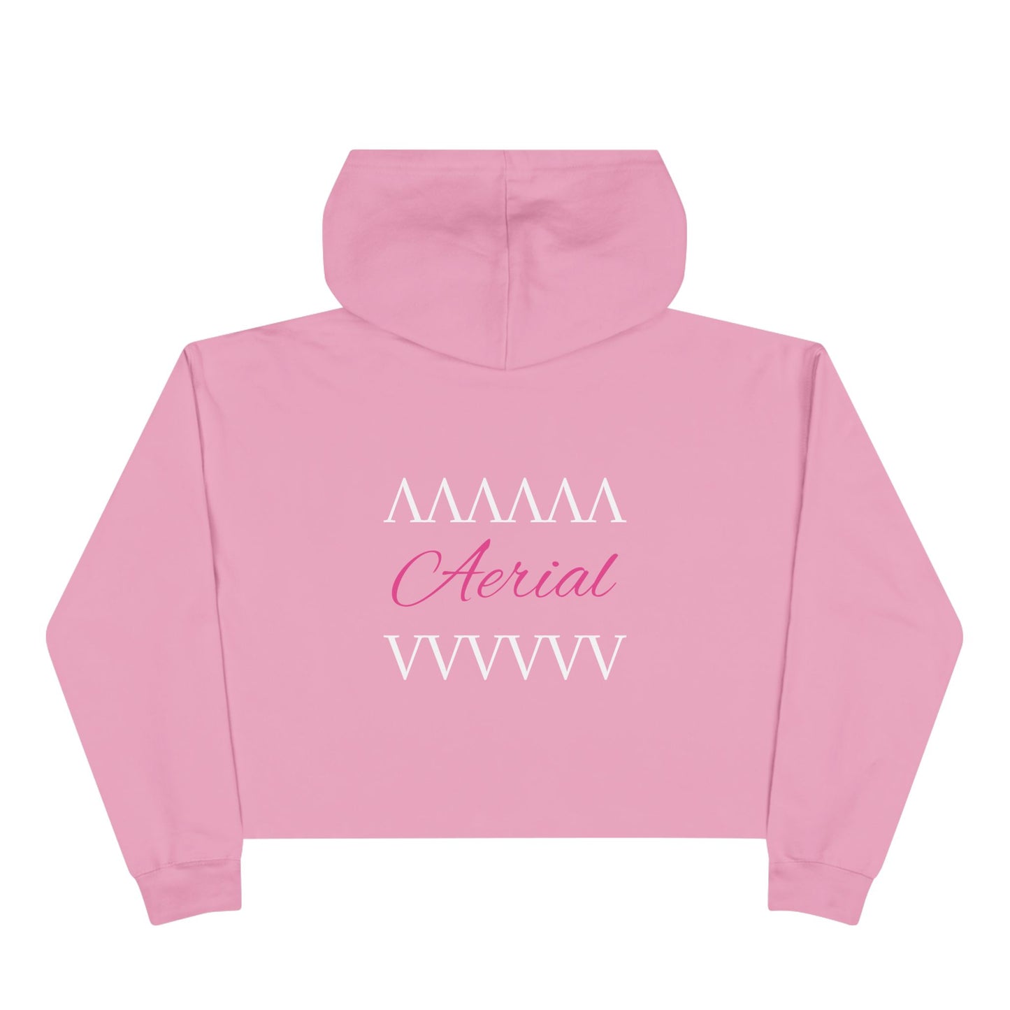 Aerial Cropped Hoodie