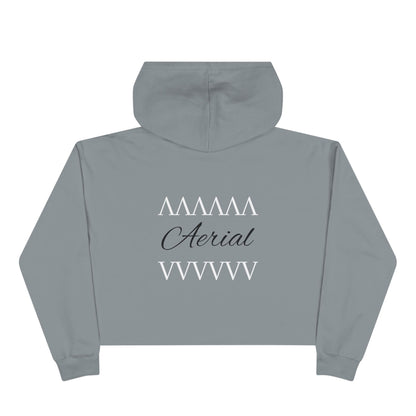 Aerial Cropped Hoodie