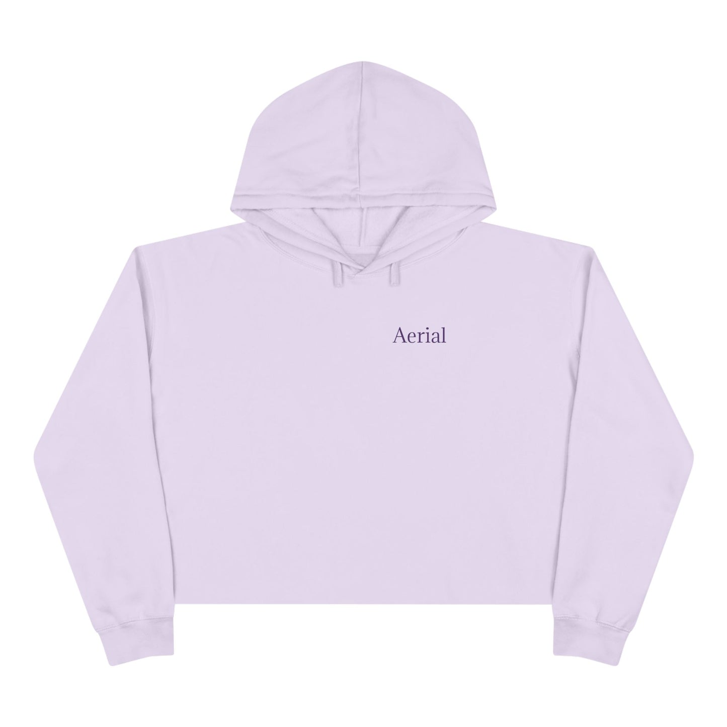 Aerial Cropped Hoodie