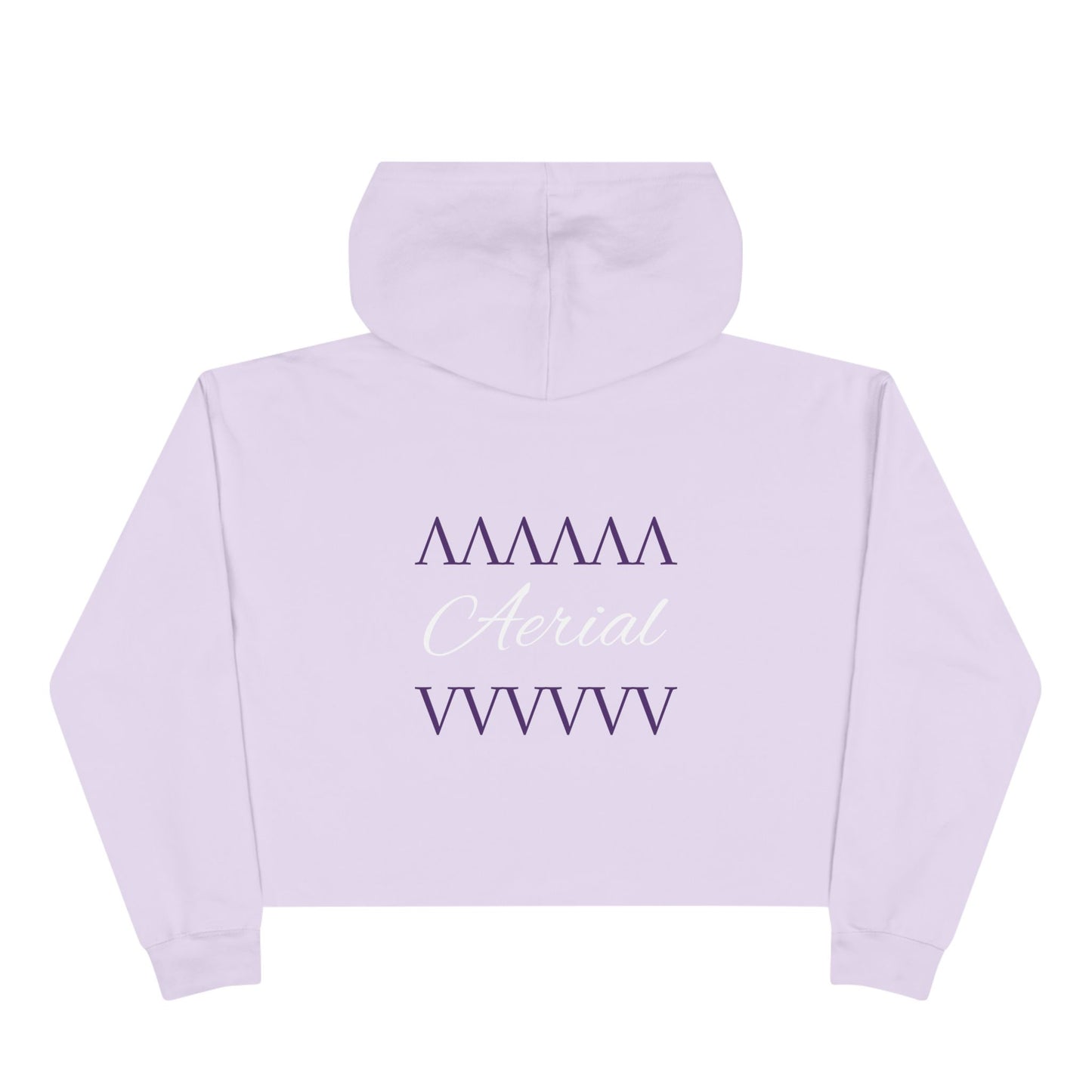 Aerial Cropped Hoodie