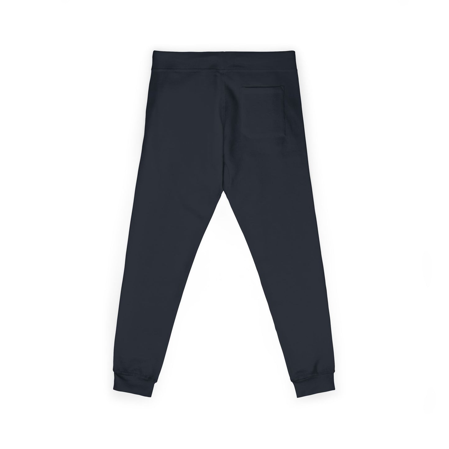 AERIAL Embroidered Casual Fleece Sweatpants